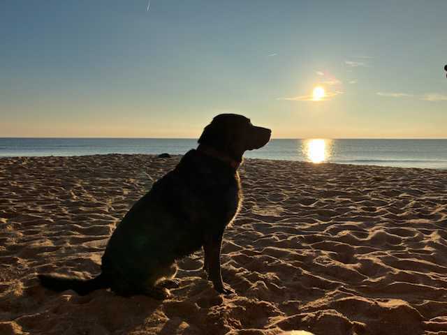 Této, le Chief Happy Officer de MHR